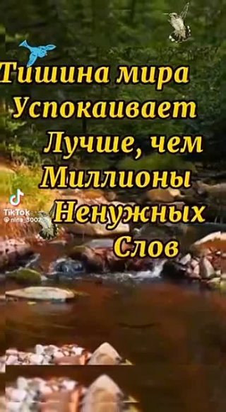 *** Тишина мира успокаивает лучше , чем миллионы слов ... В природе для нас есть всё ...