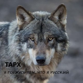 Я горжусь тем_ что я Русский(1080P_HD).mp4