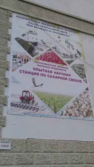 СЕКРЕТНОЕ ОРУЖИЕ