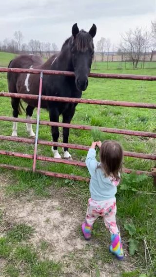 Малышка и лошадка