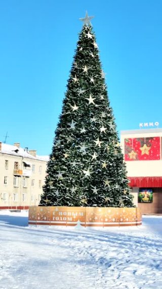 ПРОГУЛЯЕМСЯ? ВОЛОДАРКА В СОЧЕЛЬНИК.