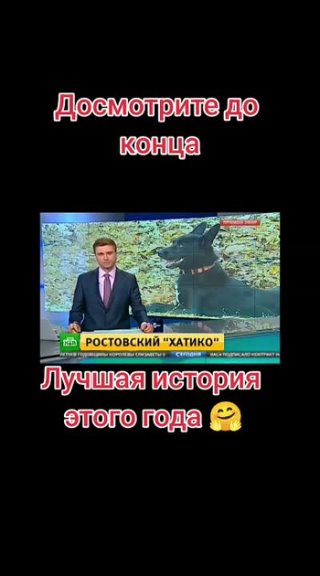 *** Лучшая история этого года ... Досмотрите до конца ...