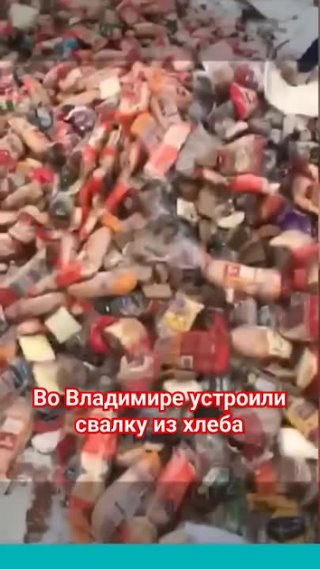 Во Владимире устроили свалку из хлеба #свалка #хлеб #чп #мусор