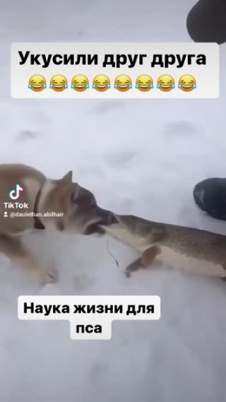 Наука жизни