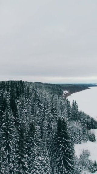 Зимние пейзажи Республики Коми. Княжпогостский район. Аэросъёмка.