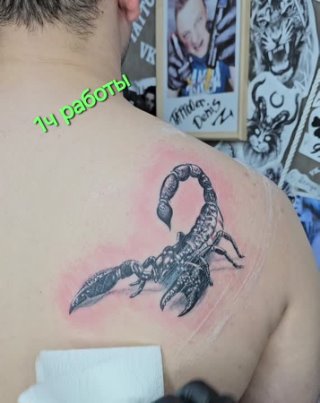 #tattoo #татувПрокопьевске #татуСкорпион #tattoo #tattooScorpion #скорпионНаЛопатке #denis_z_tattoo 