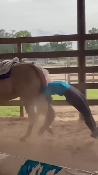 Невероятный трюк с лошадью 🤣

Лошадки