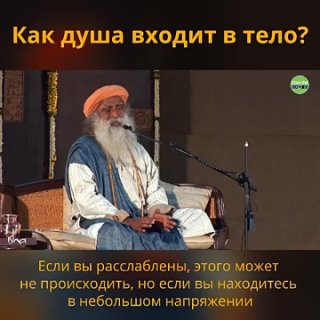 Как создать лучшие условия во время беременности.