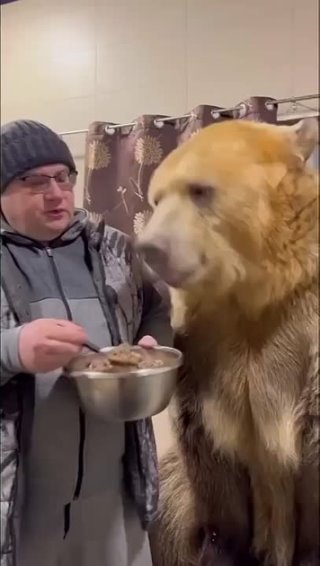Обычный обед в России