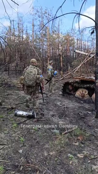 Уничтоженный в Луганской Народной Республике украинский танк Т-72ЕА чешского производства.