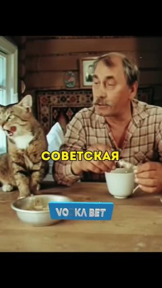 Дед ругает избалованного кота! 🥰 #фильм #моментизфильма