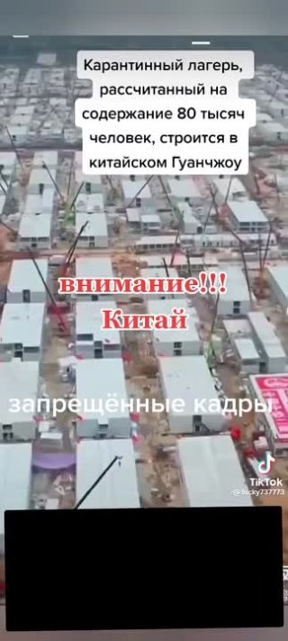 Китай пляшет под дудку глобалистов 💥