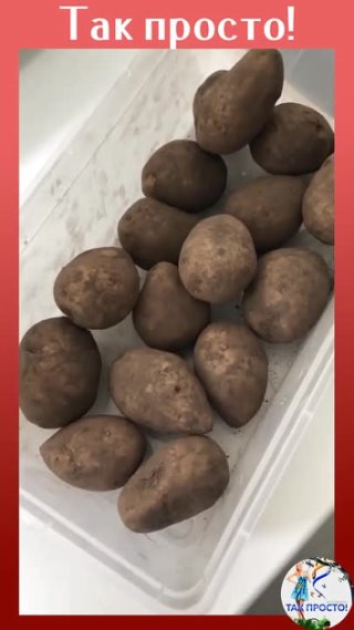 Секрет хранения картофеля при комнатной температуре