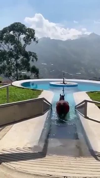 Терапевтический бассейн для лошадей в Колумбии