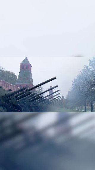 Пушка разнесла дерево у стен Кремля после инаугурации Путина