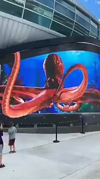 Подводный мир в 3D 🐙🐋Впечатляет, до мурашек!😄