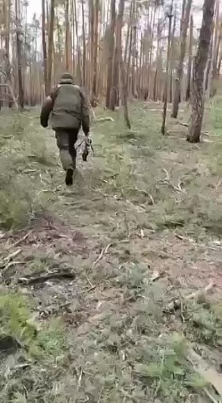 Наши бойцы перемещаются под обстрелом в Кременском  лесу. 
