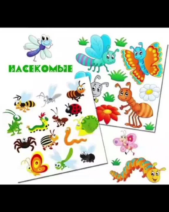 Тема в саду насекомые. Насекомые для дошкольников. Насекомые картинки для детей. Иллюстрации насекомых для детского сада. Тема насекомые в детском саду.
