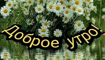 Доброе утро  всем моим друзьям!!!