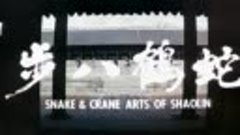 Snake And Crane Arts Of Shaolin -CG~1