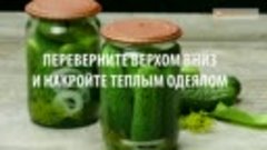 МАРИНУЕМ ВКУСНЫЕ ОГУРЧИКИ