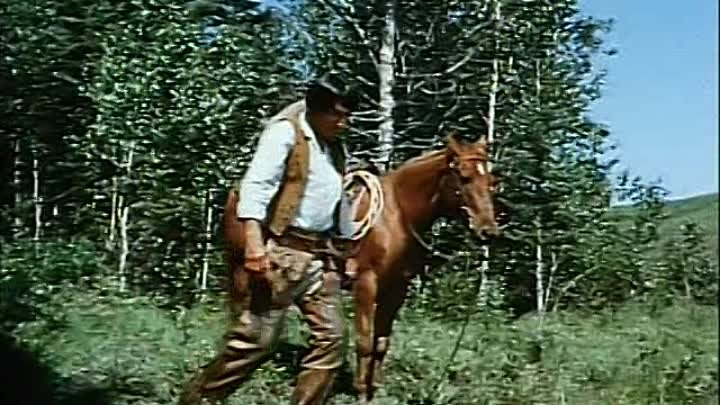 El.rey.de.los.osos.(1970).DVDRip.Dual.Castellano.Ingles