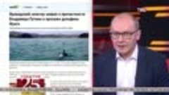 Россию обвинили в пропаже ирландского дельфина Фунги. Велики...