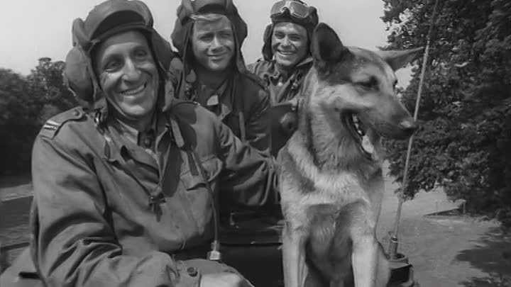 4 танкиста и собака фото 4 танкиста и собака фото