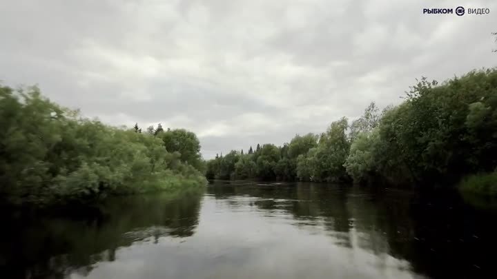 Уникальные рыболовные места: реки Кулой, Келда, Полта (Архангельская ...