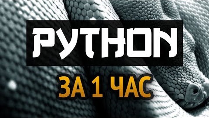 Учим Python за 1 час!