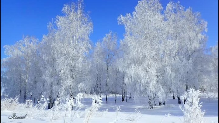 Три белых коня