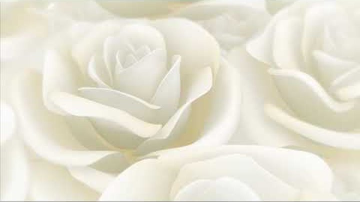 Белые розы(футаж 1)___СМОТРИМ  И СКАЧИВАЕМ ПО ССЫЛКАМ В ОПИСАНИИ ПОД ...