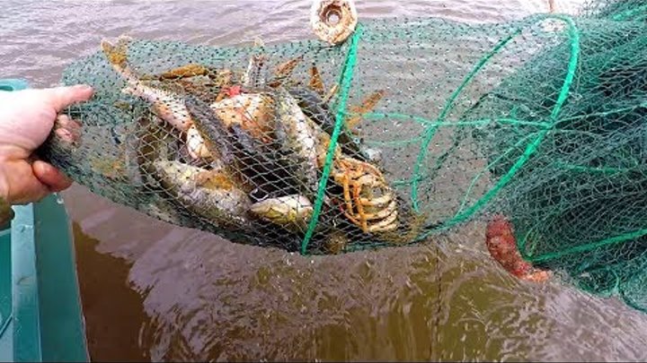 Раколовки на что ловить Раколовки на что ловить