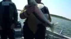Мы рыбаки. Рыбалка в Астрахани апрель 2016 https://www.youtu...