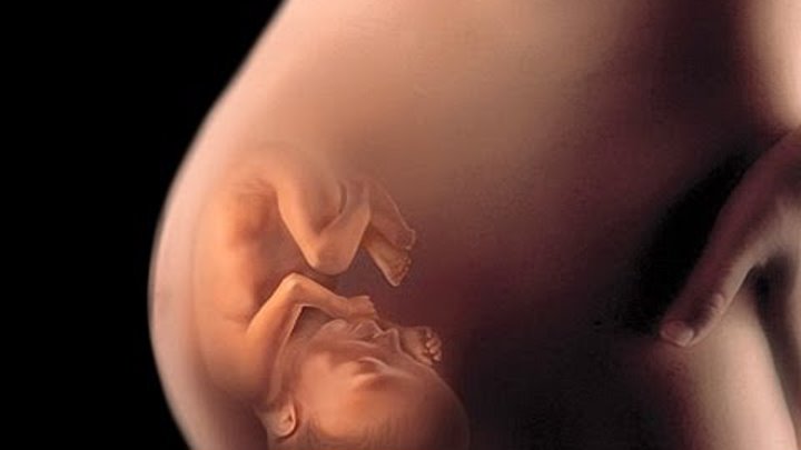 Ребенок внутри матери фото Ребенок внутри матери фото
