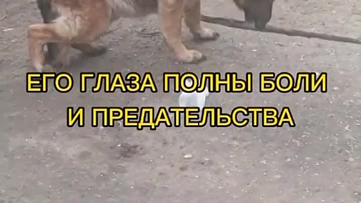 Не бросайте нас. 