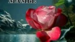 VID-20201129-WA0011.mp4