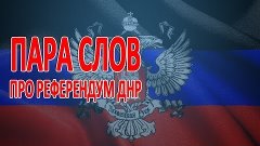 Пара слов про референдум ДНР
