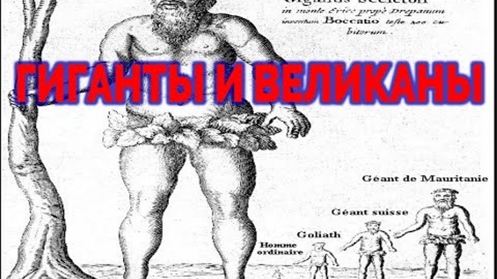 Как выглядит настоящий великан Как выглядит настоящий великан