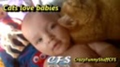 &#39;Cats Love Babies Compilation&#39; -- CFS