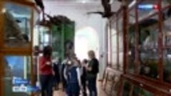 Краеведческий музей Алтайского края закрывается на масштабну...