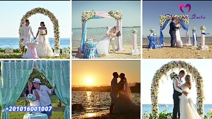 Организация свадьбы В ШАРМ ЭЛЬ ШЕЙХЕ - wedding in sharm el sheikh +2 ...