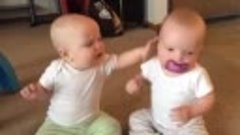 Twin baby girls fight over pacifier