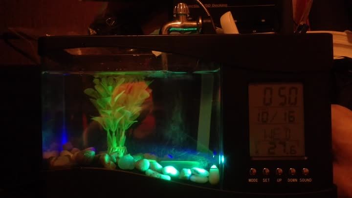 Mini LCD Display Desktop Fish Tank Aquarium USB Aquarium LED Clock B ...
