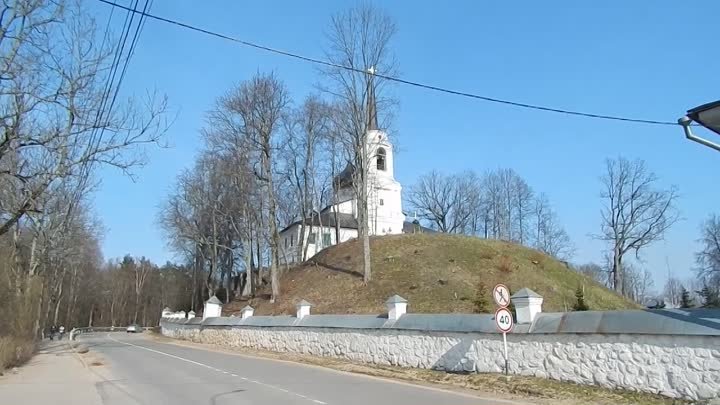 Подснежники цветут