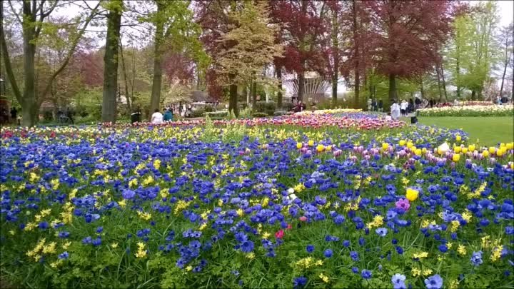 Keukenhof02052016