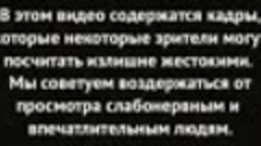 Сын депутата сбил людей на переходе 