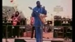 Albert King Live - I&#39;ll Play The BLues For You
