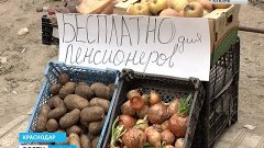 В Краснодаре пенсионерам бесплатно раздают продукты и хлеб