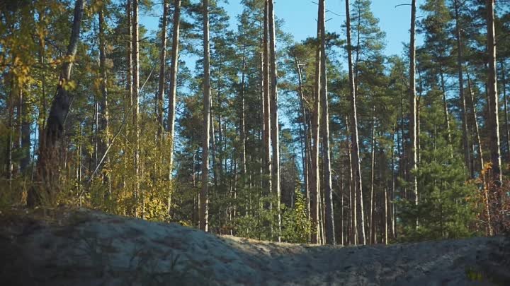 Олег Майгов. Я на счастье к двери - подкову...